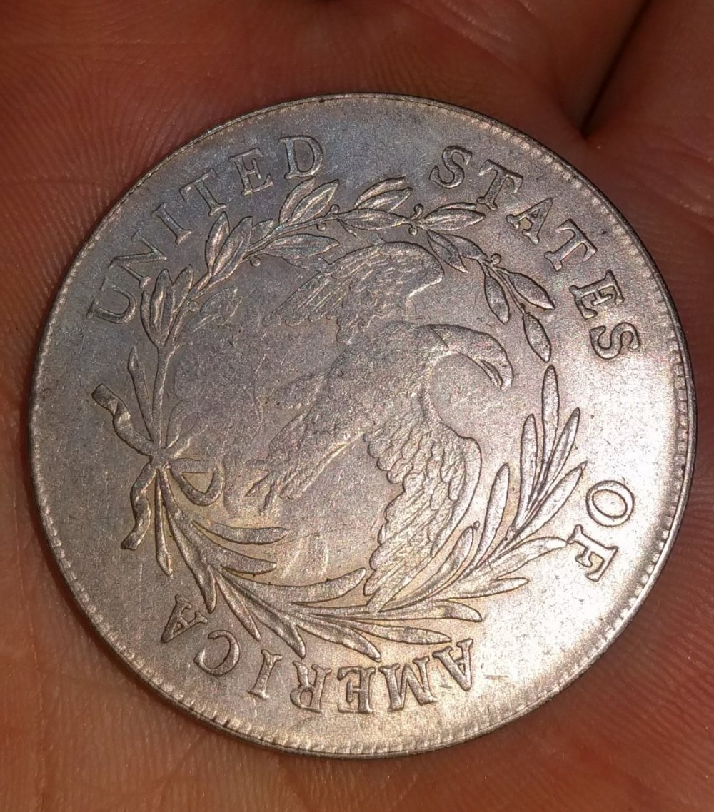 Suspect-Counterfeit-1796-Draped-Bust-Found-In-India